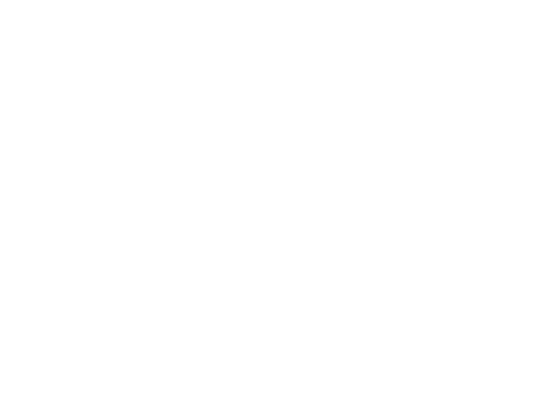    Zum alten  Schlagbaum